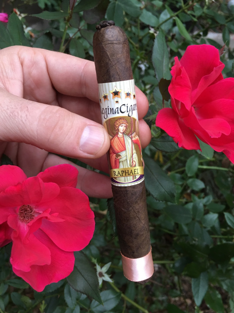 Regina Cigars Honduran Collection - "Raphael" Maduro Wrapper